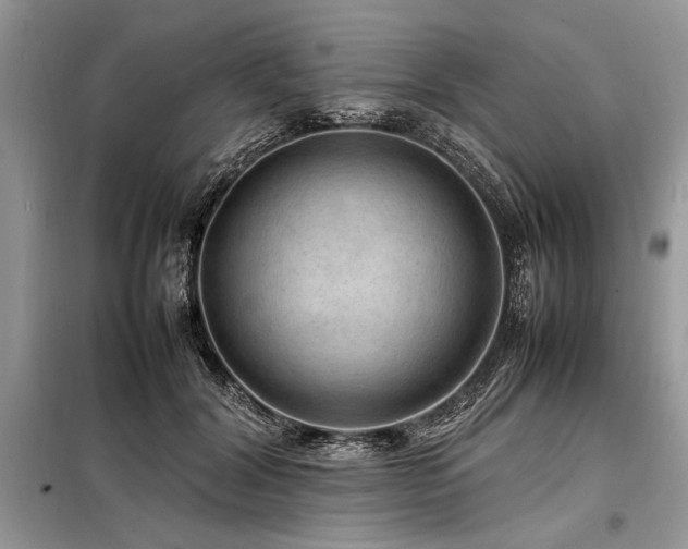 X0000098190604200804241246