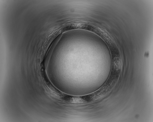 X0000098190605200804241246