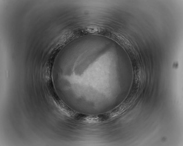 X0000098190606200804241246