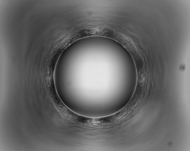 X0000098190607200804241246