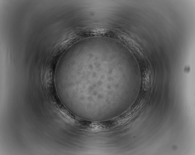 X0000098190608200804241246