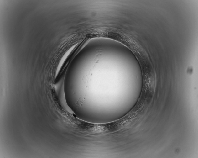 X0000098190609200804241246