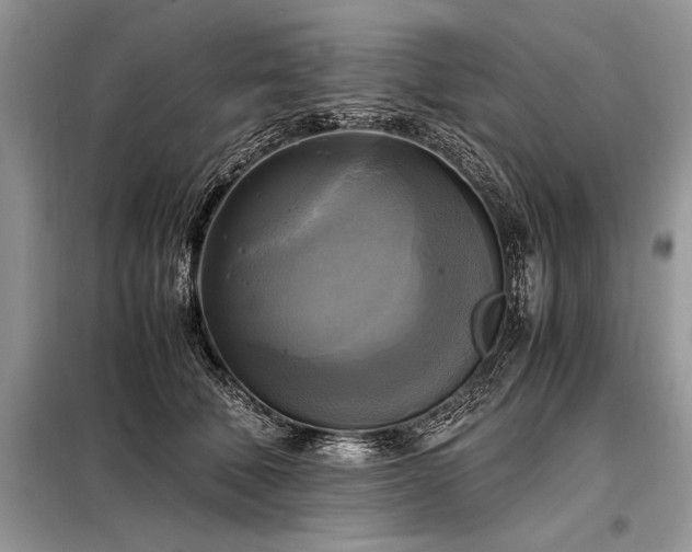 X0000098190610200804241246