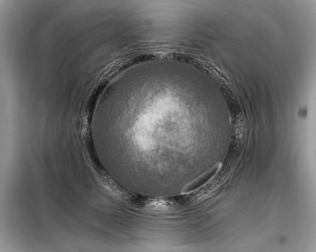 X0000098190611200804241246