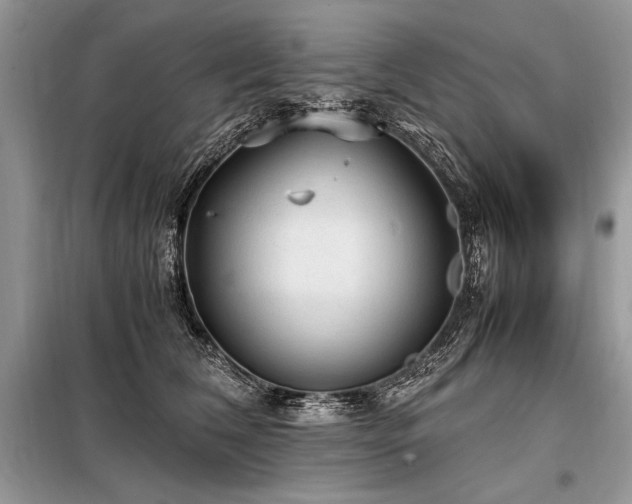 X0000098190612200804241246