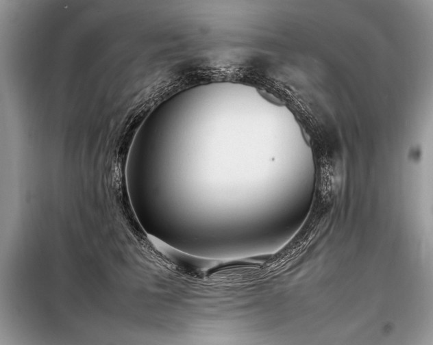 X0000098190613200804241246