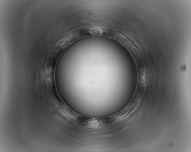 X0000098190616200804241246
