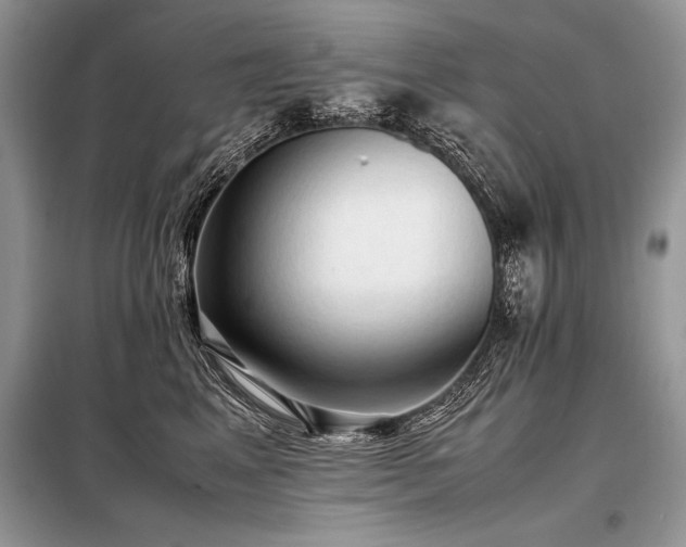 X0000098190617200804241246