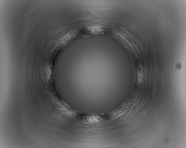 X0000098190618200804241246