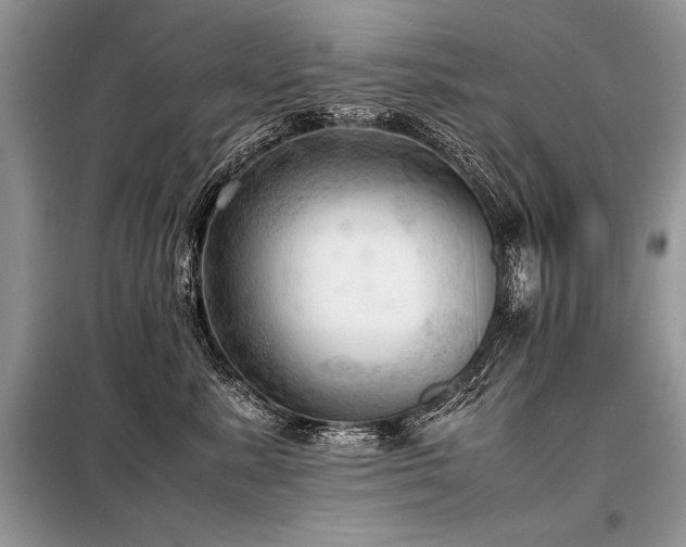 X0000098190619200804241246