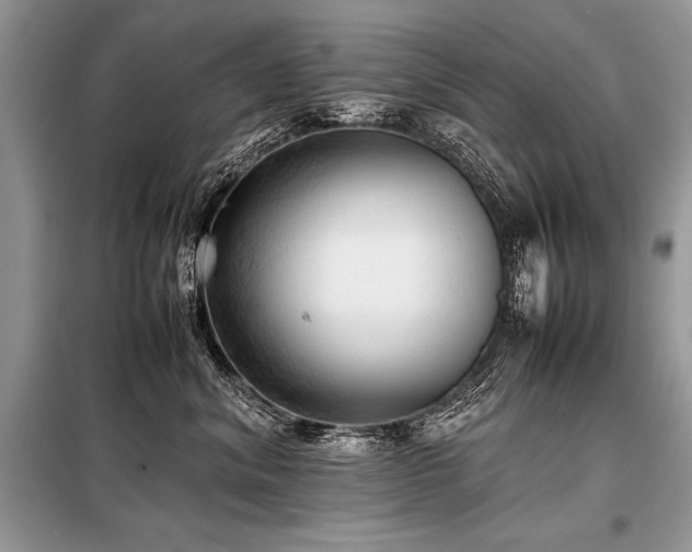 X0000098190620200804241246