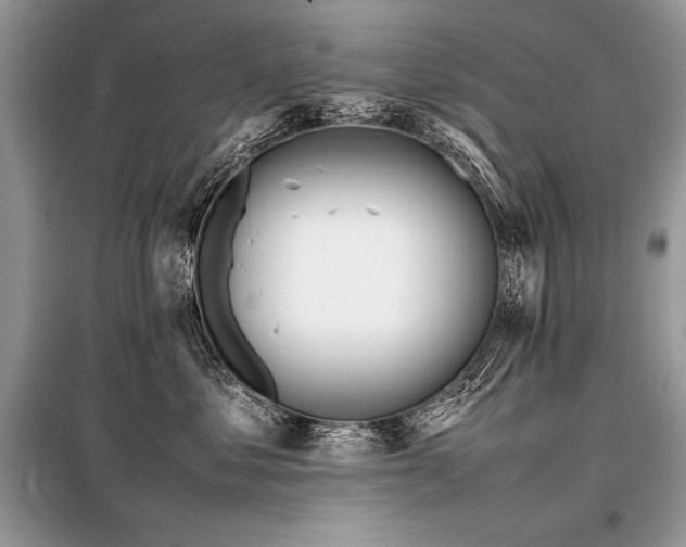 X0000098190621200804241246