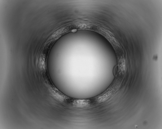 X0000098190622200804241246