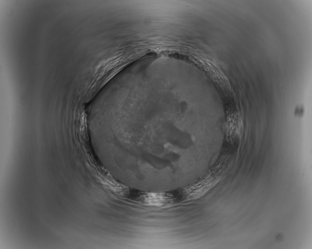 X0000098190623200804241246