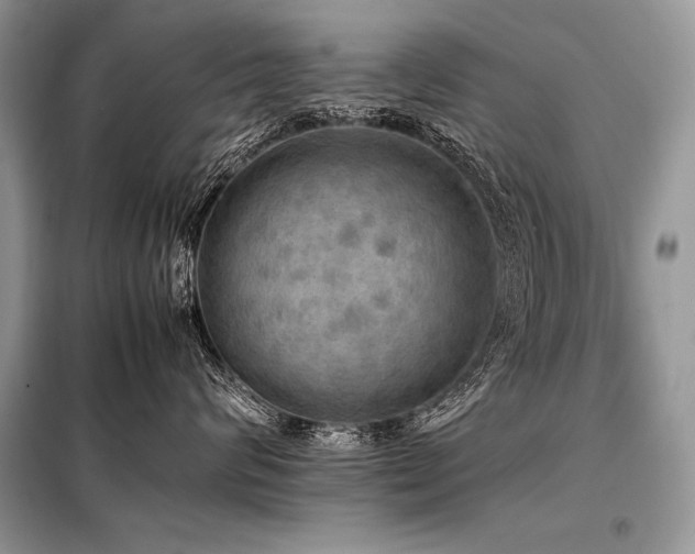 X0000098190624200804241246