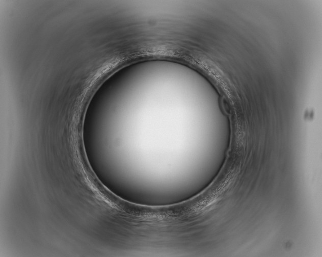 X0000098190625200804241245