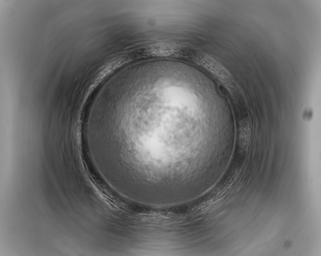 X0000098190626200804241245