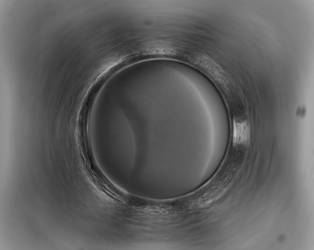 X0000098190627200804241245