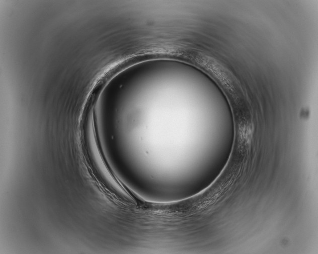 X0000098190628200804241245
