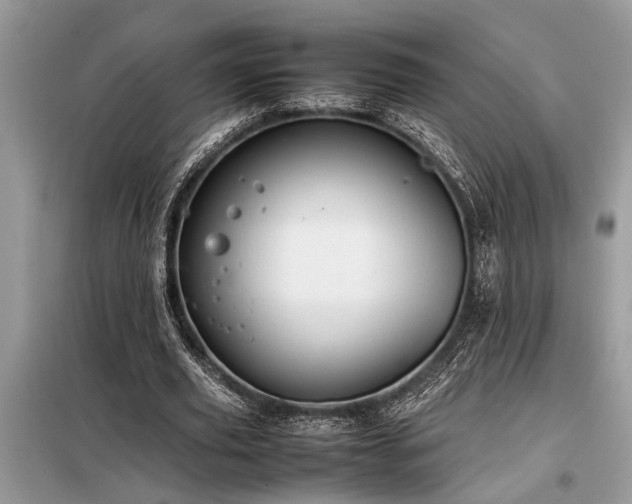 X0000098190629200804241245