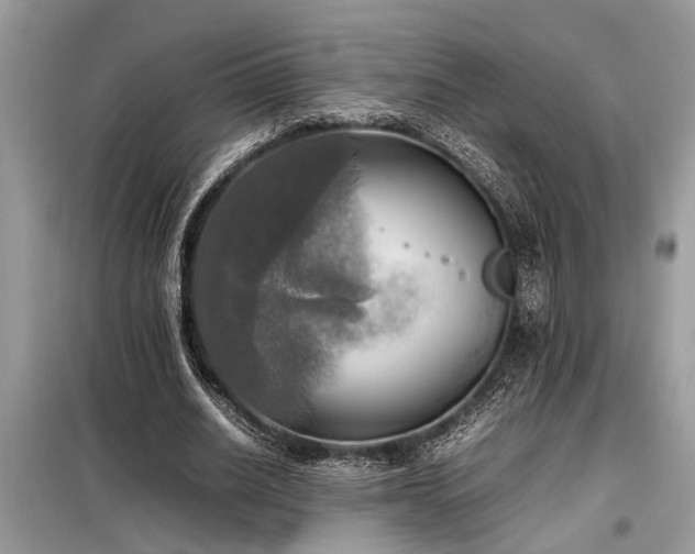 X0000098190630200804241245