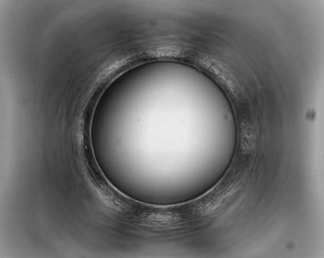 X0000098190631200804241245