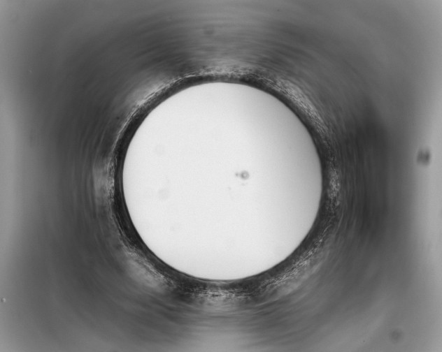 X0000098190632200804241245
