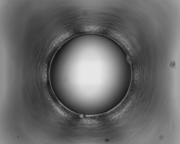 X0000098190633200804241245