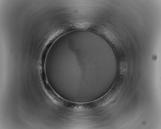 X0000098190634200804241246