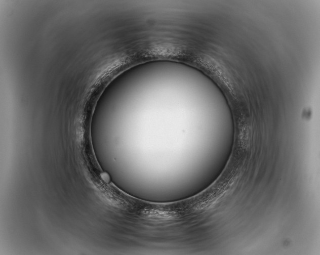 X0000098190635200804241246