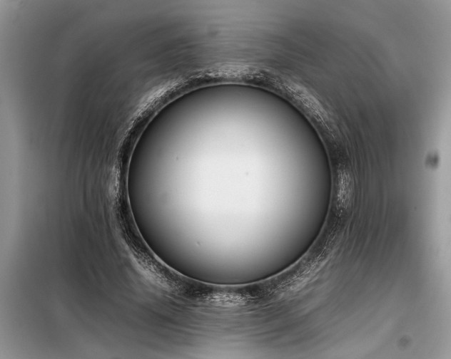 X0000098190636200804241246