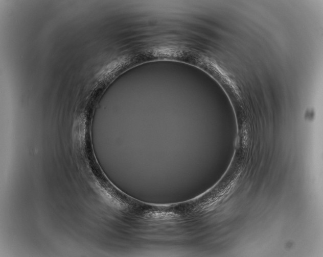 X0000098190637200804241246