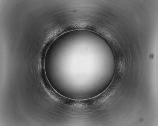 X0000098190638200804241246