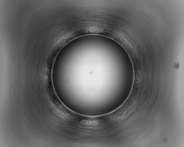X0000098190639200804241246