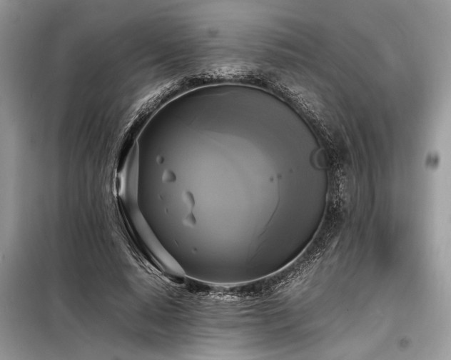 X0000098190640200804241246