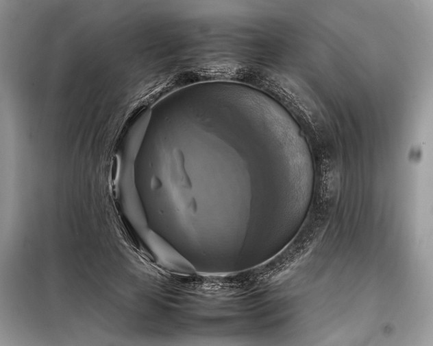 X0000098190641200804241246