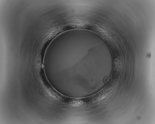 X0000098190642200804241246