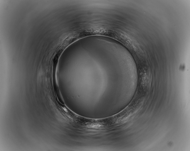 X0000098190643200804241246