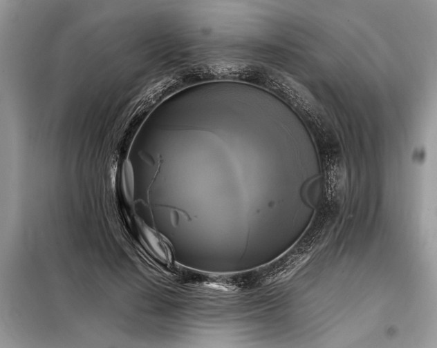 X0000098190644200804241246