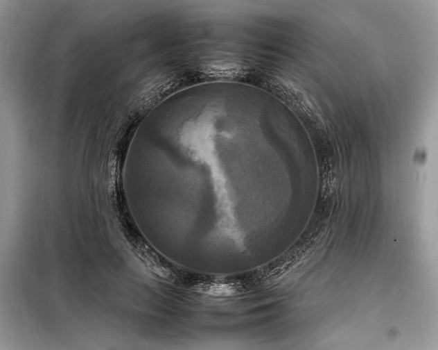 X0000098190647200804241246