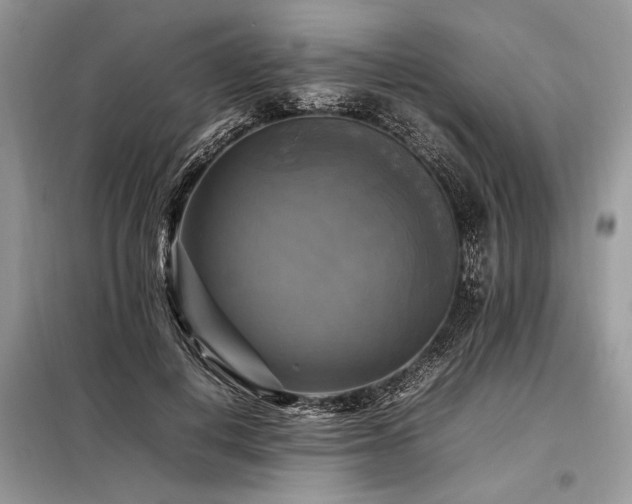 X0000098190648200804241246