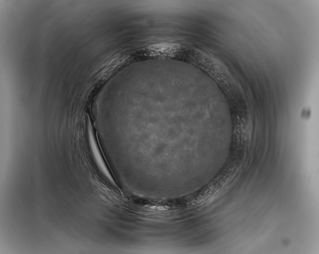 X0000098190649200804241246