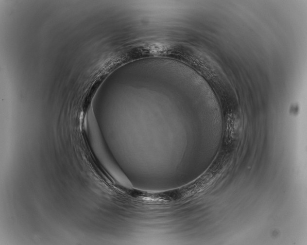 X0000098190650200804241246