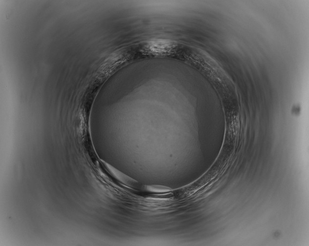 X0000098190651200804241246