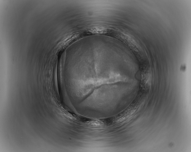 X0000098190652200804241246