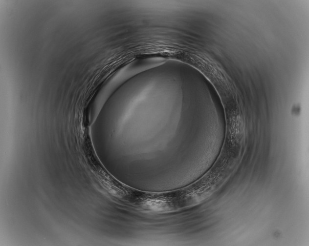 X0000098190653200804241246