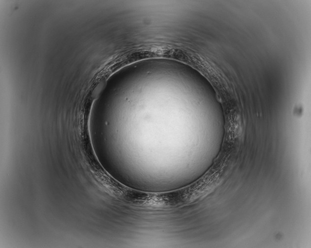 X0000098190656200804241246