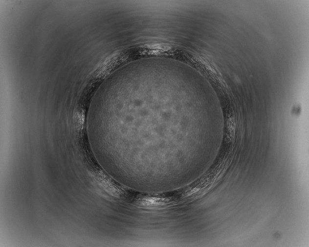 X0000098190657200804241246
