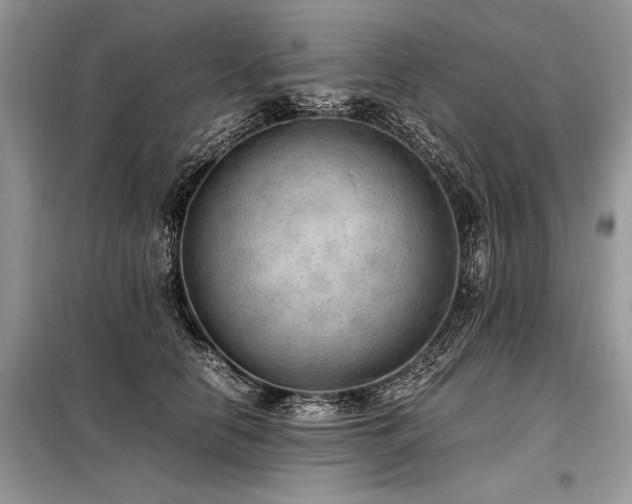 X0000098190658200804241246