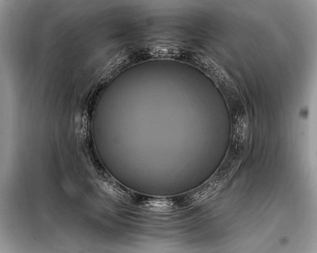 X0000098190659200804241246